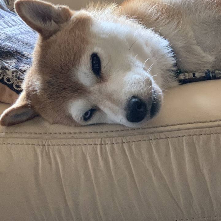 Df5bd7d1 0ceb 44b0 9533 760376971b34 1564459757399