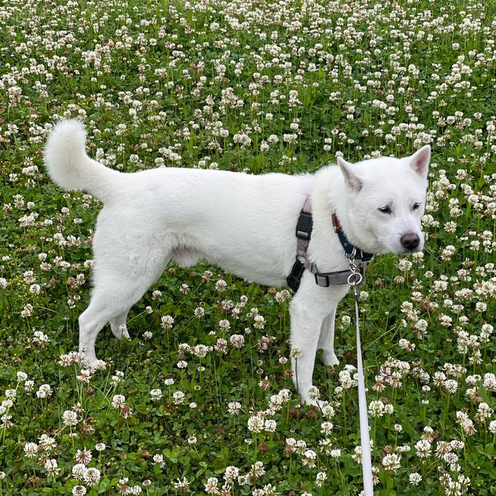 Df5c8606 4cf5 4b4a b3e7 245fc41eed91 1682034248050