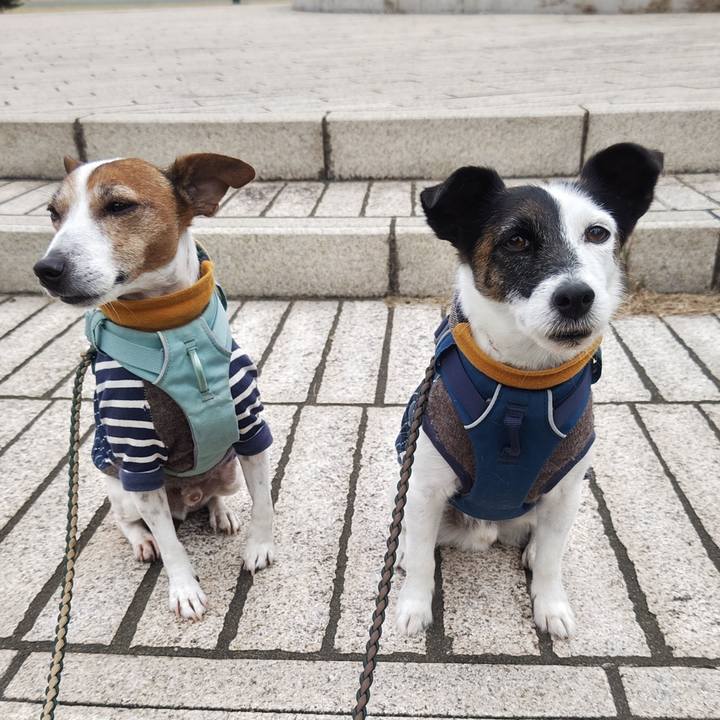 Df5c93a8 271c 4084 98f6 07c665042f52 1763855753194