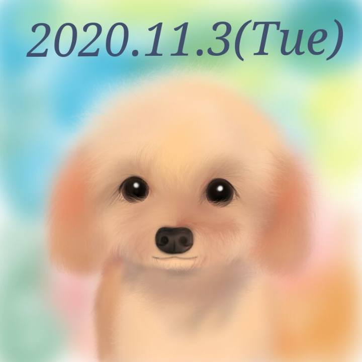 Df5cb833 cd96 4980 8b39 aa1918248f76 1604368055577