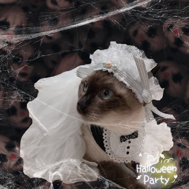 Df5cd08f 9d5f 4ee4 b3f8 a83c5e6b7029 1602857545374