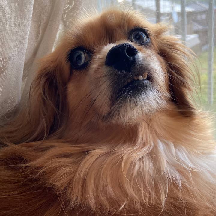 Df5cd400 0ce1 43ab a5f8 35d98417239d 1624656071445