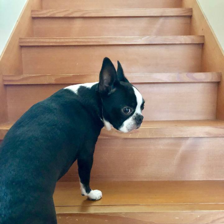 Df5ce621 d693 4b25 9f97 4f771a3d477c 1560645184053