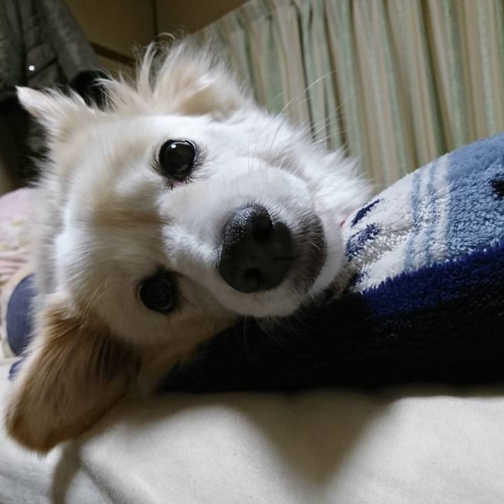 Df5ce896 990c 4210 8389 c10f4b72cd83 1638394814667