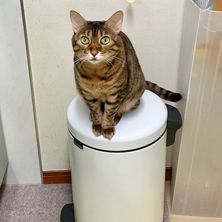 Df5cf099 ee23 4430 86a0 49eb559ce1f4 1661468824886