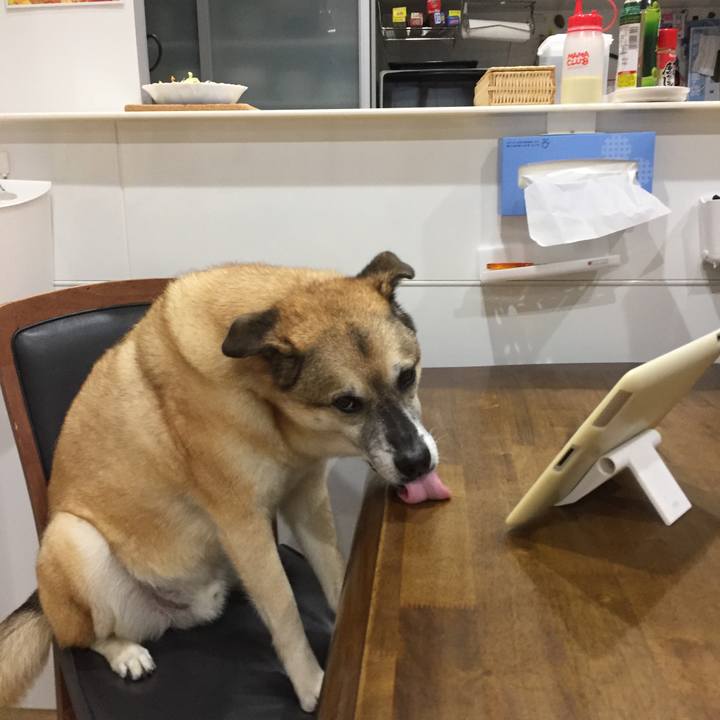 Df5d3855 a4e5 4c64 8060 8807af9fd3c4 1572314366285