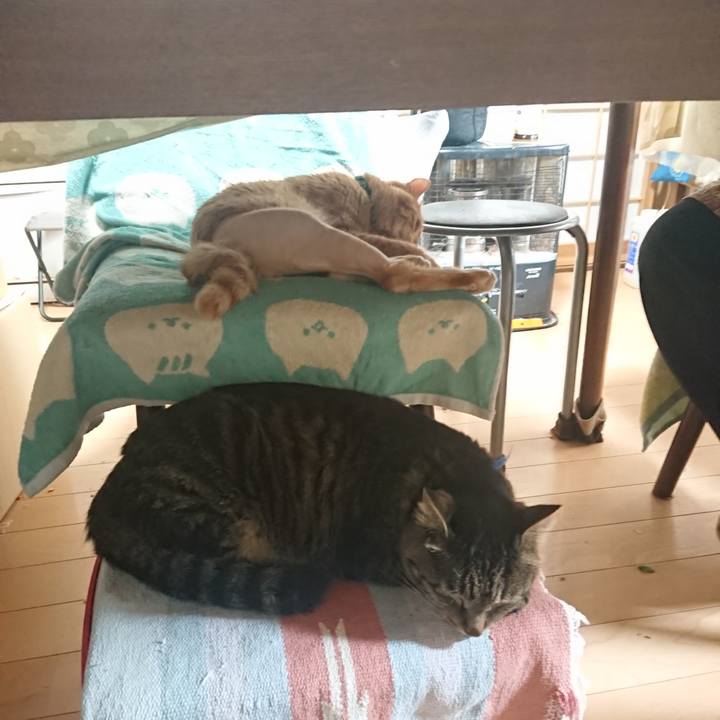 Df5d451f c935 4638 b08d 3668eac00927 1654730740310