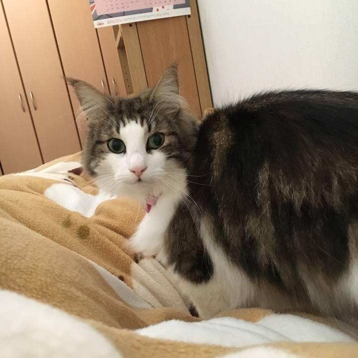 Df5da399 bc2b 4fc2 9a5e 0ef51e7d1b9e 1510302832442