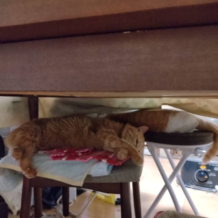 Df5dd30e 7a11 4b10 a87d 77b501fcc546 1770878925857