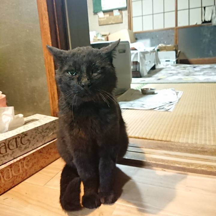 Df5deb14 280f 492f 9e9e 2fcd15a095af 1622548825332