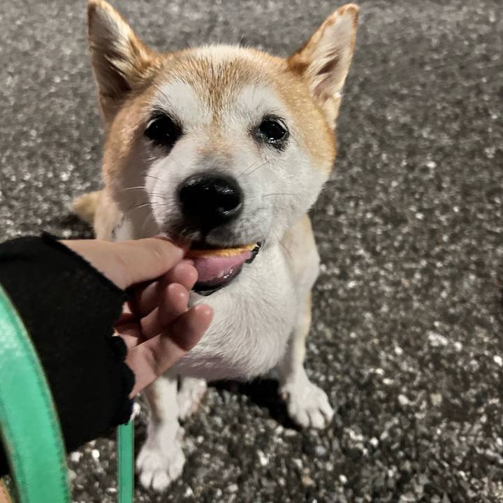 Df5e076b 816e 4bcd a03f 8e847e26ac4a 1757154845446