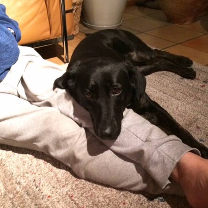 Df5e236d 61aa 4bc5 80a9 6dd5561a9662 1518404435883