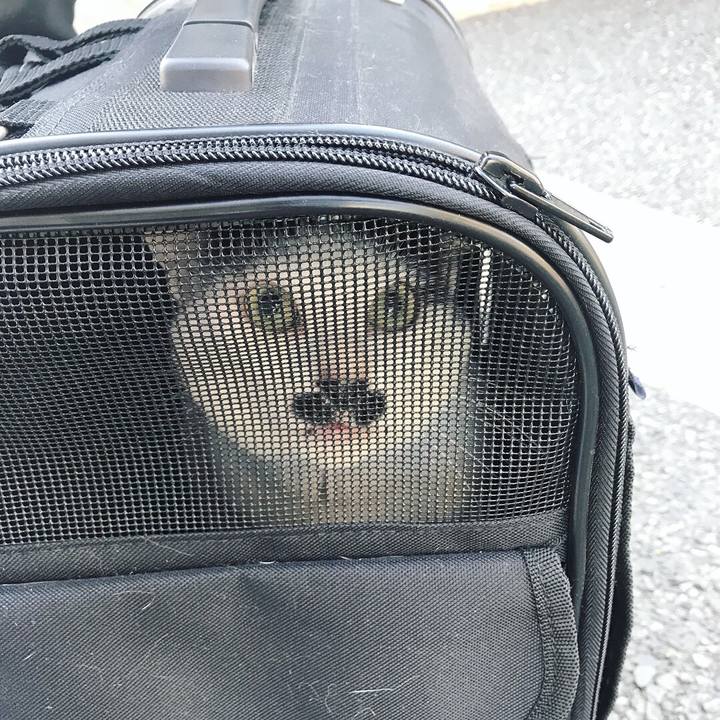 Df5e381a b9e6 4a62 a80b 990063c6ed7f 1525576595716