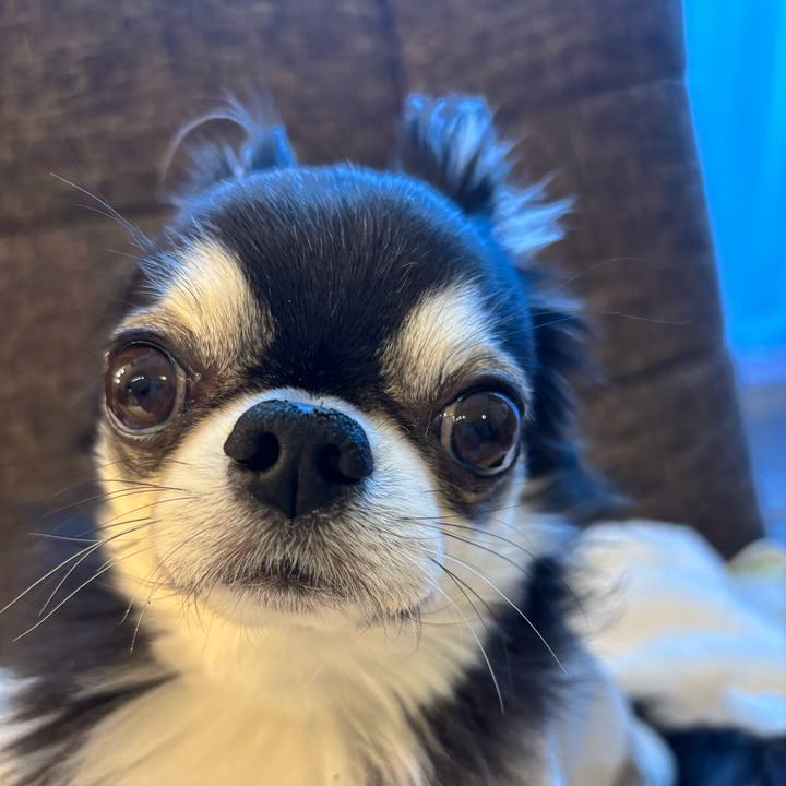 Df5e43f4 9ef0 4ad4 8b1c 01de2a22eae2 1736032172955