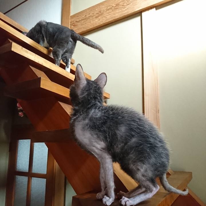 Df5e5edd 804b 42b1 a7bb 085529064e05 1519614166063