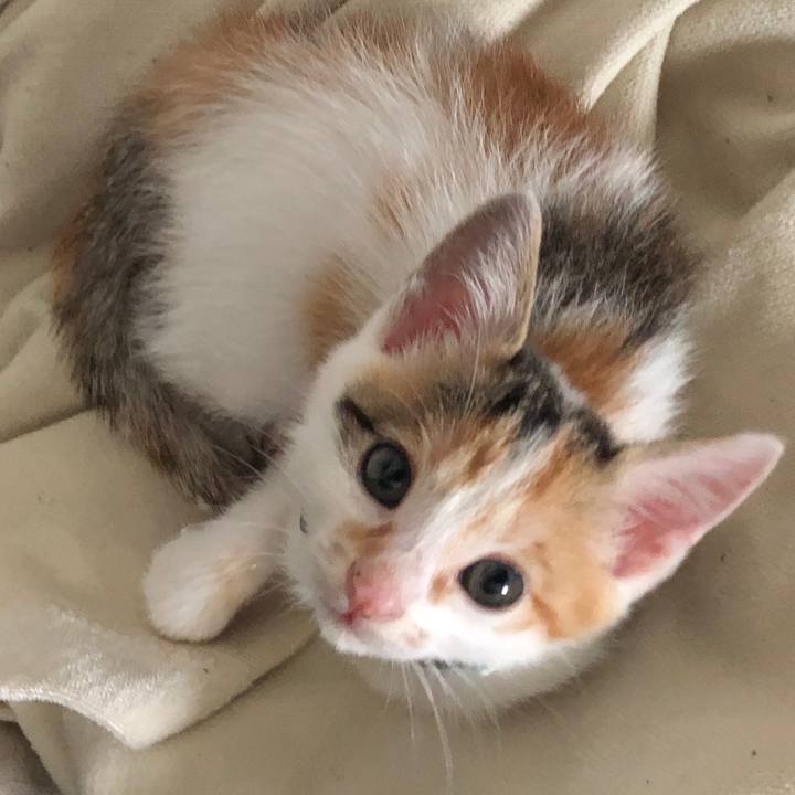 Df5e9b4e cd23 4120 be8c 9f62c4f0c85a 1561937936695