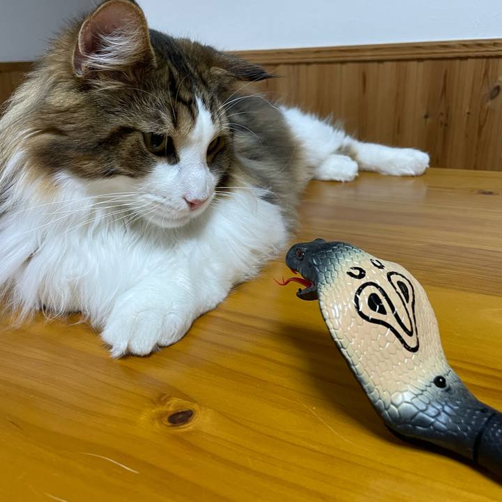 Df5ea162 cad6 4ecb 93de e6d2107530e5 1648033370726