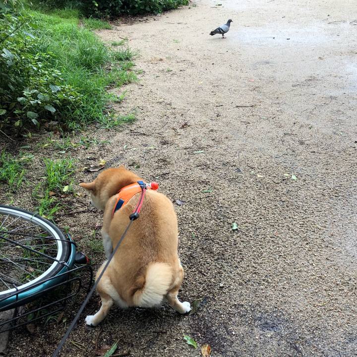 Df5eaa2c 9734 46bc 8b09 1052b1303811 1561956800842