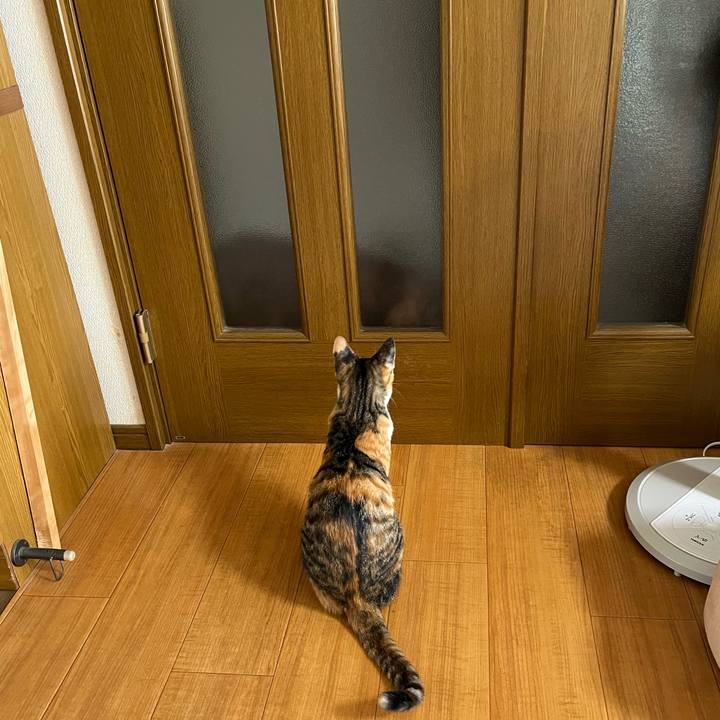 Df5eb034 5f3a 4f23 b569 52335b387f06 1665613584538