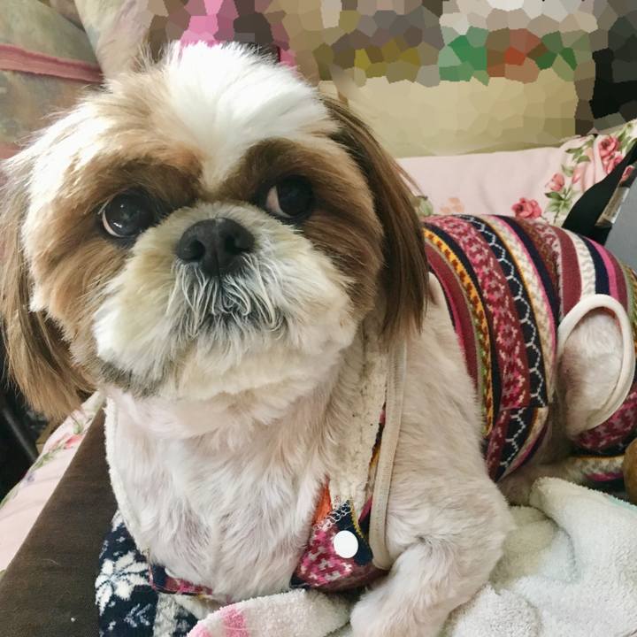 Df5eda22 e897 417b a193 112e36bb29d4 1518837981021