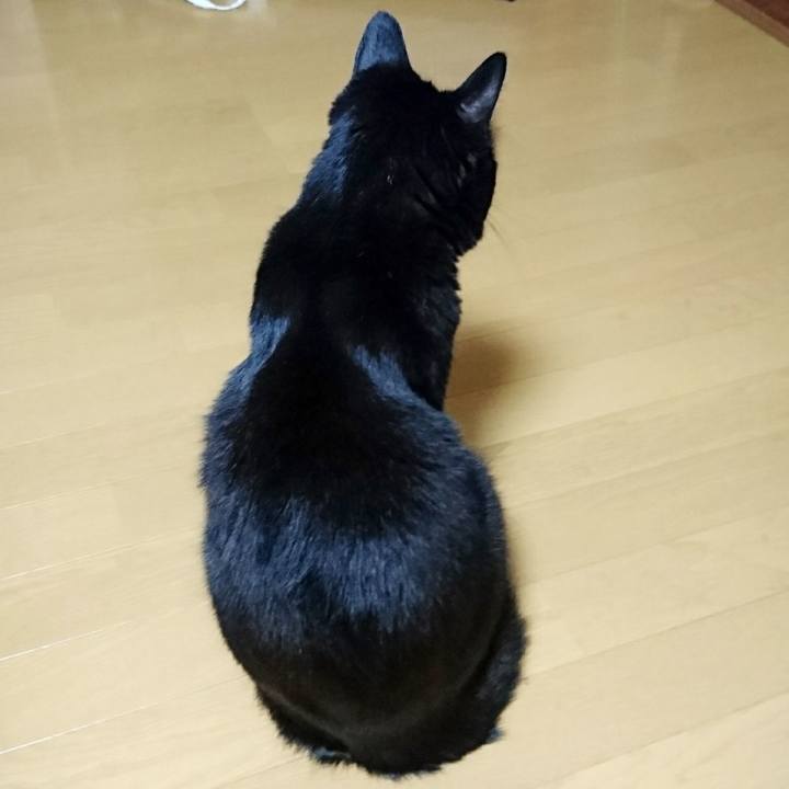 Df5ee33f 3749 4126 ab2e 1155906edf24 1566548593232