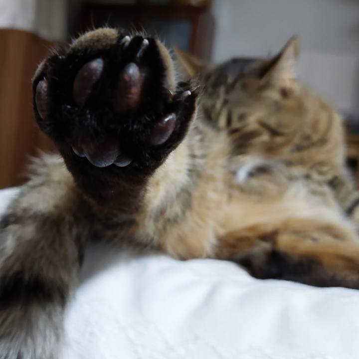 Df5f4b25 1110 4ee6 ab82 6a67b4f315f3 1709165604176