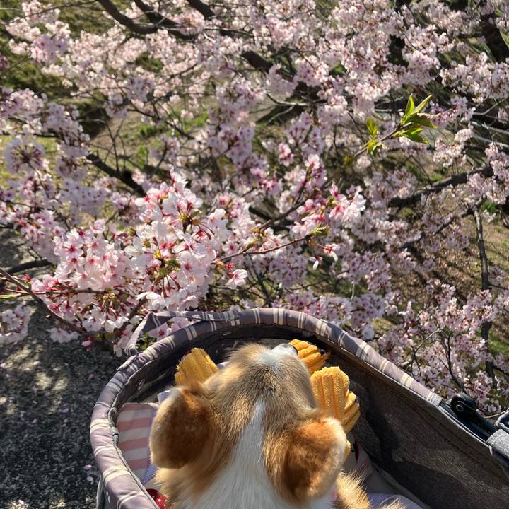 Df5f4ede 072a 4216 87f3 9f7dd4447a50 1775020714787