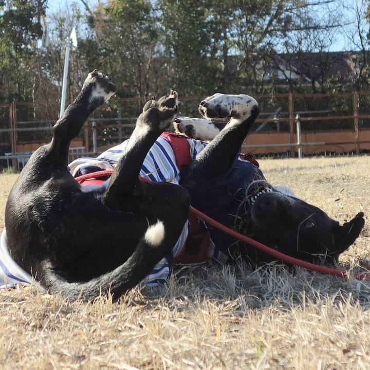 Df5f77e0 bffc 4f37 886c c10e5c681c9d 1677548327296