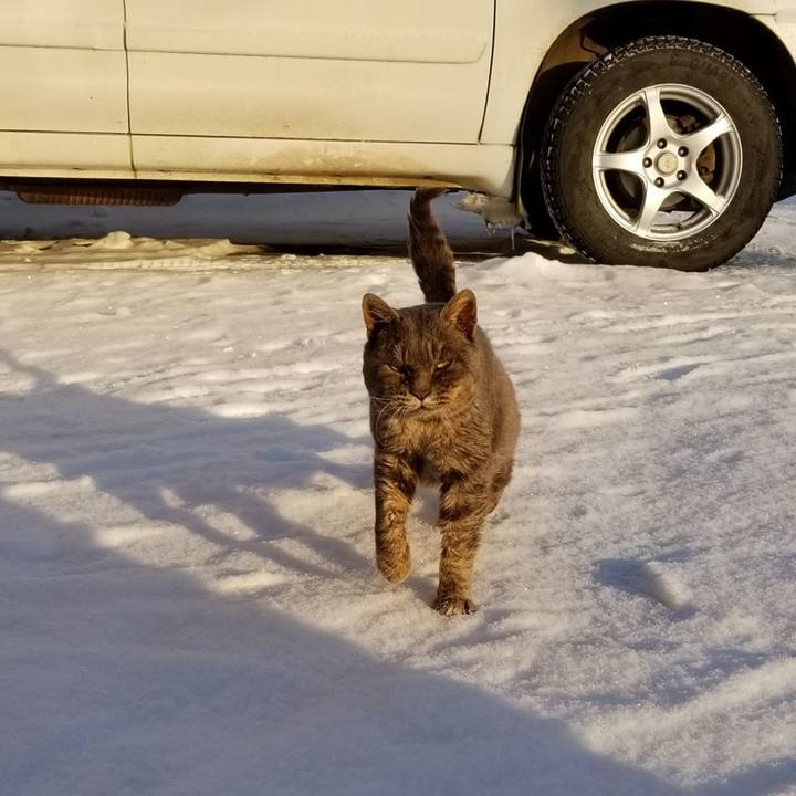 Df5fae81 64c5 49e9 8456 c1ab44806db5 1547133501217