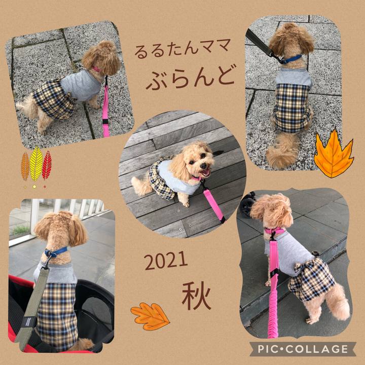 Df5fb6d8 8250 4f95 9529 c59efb3383e4 1631445057680