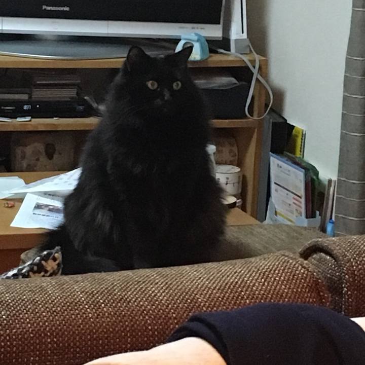 Df5ff336 5cb3 4029 bb4a 2f6392872b30 1543497425005