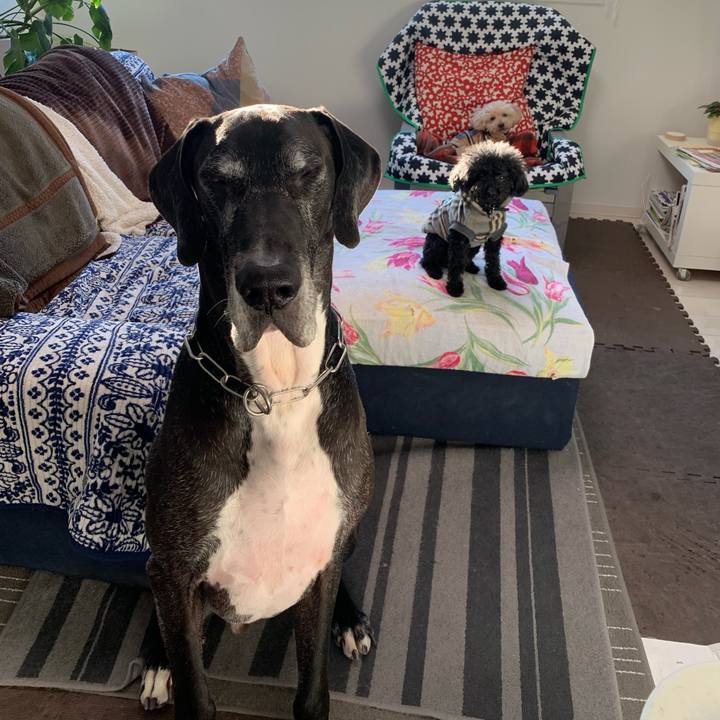 Df600a91 aabc 4aa8 b682 46aa9fe0c4bc 1547765131644