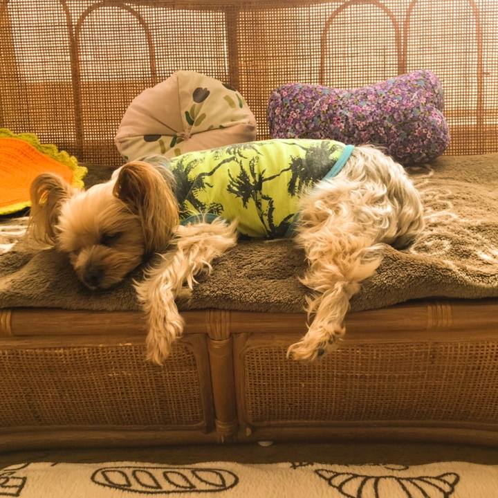 Df60139e 917f 4e0a 8d0d 33e447a578de 1578303193402