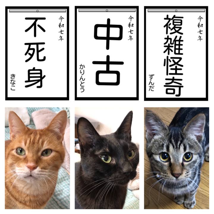 Df602dfe 3961 40bb 80f4 98fc27cb8a13 1735860704401