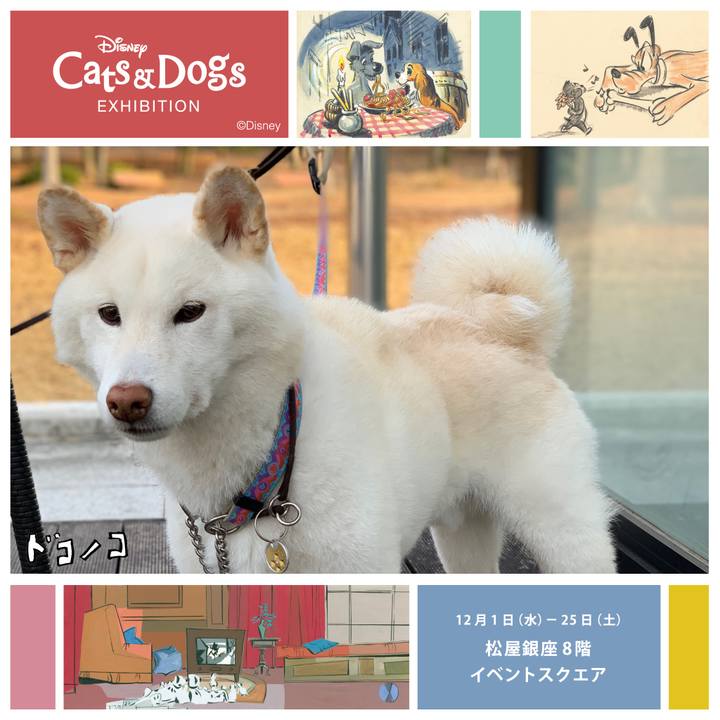 Df60788f 8d3f 43f4 b876 aa50da3793a8 1638326498928