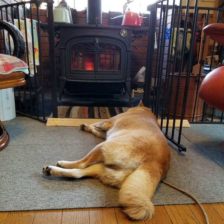 Df60972e ecf8 45da 8891 2423713febd5 1640755890631