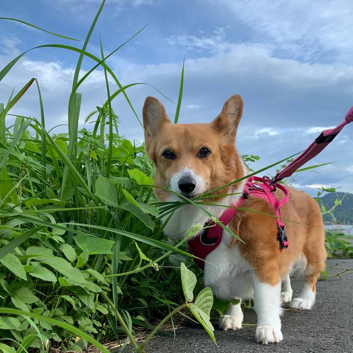 Df60bc61 1389 4dc5 b953 947841eaf6ce 1722121691677