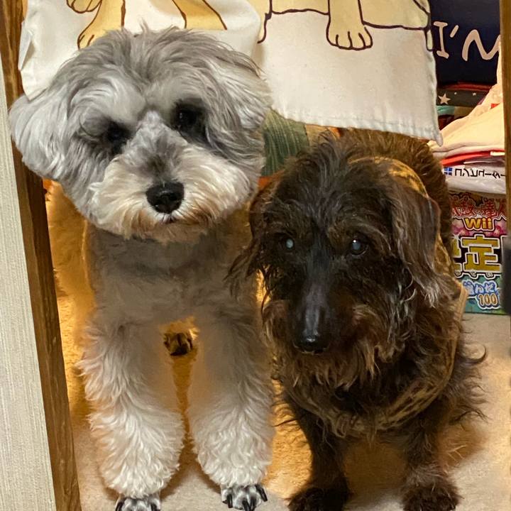 Df60bd62 e36e 4e77 8211 c835471e5e95 1648826224671