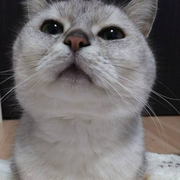 Df60d108 44ac 4a2e b775 50735e092afd 1513588980051