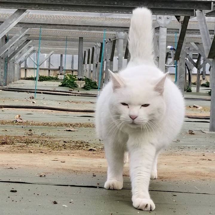 Df610ecd 6ae2 42ef b218 8d4dd4a5c2dd 1770867845467