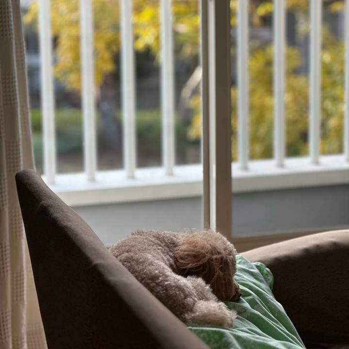 Df615fde e53b 4ac5 81a4 7ec9f88e782a 1763851439541