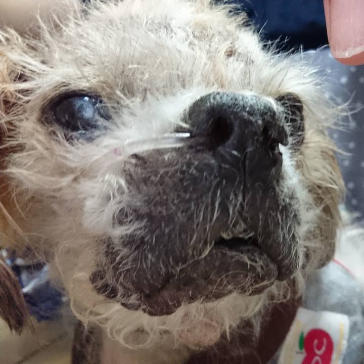 Df6162fc 77a5 4722 ab9f 84f64985f99c 1527672189515