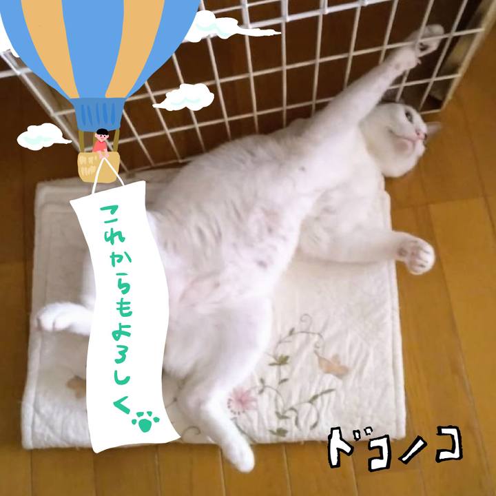 Df617891 8750 4cba 8543 ef7c9b47ea90 1685964839721