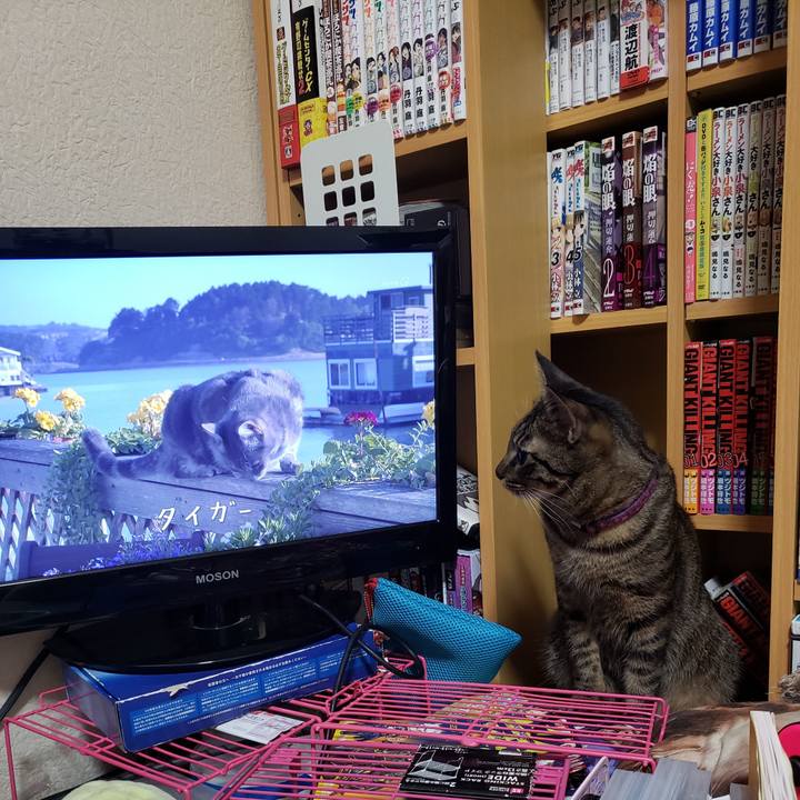 Df61b47f cf65 4b13 b0cd 8a7492422af8 1562516107375