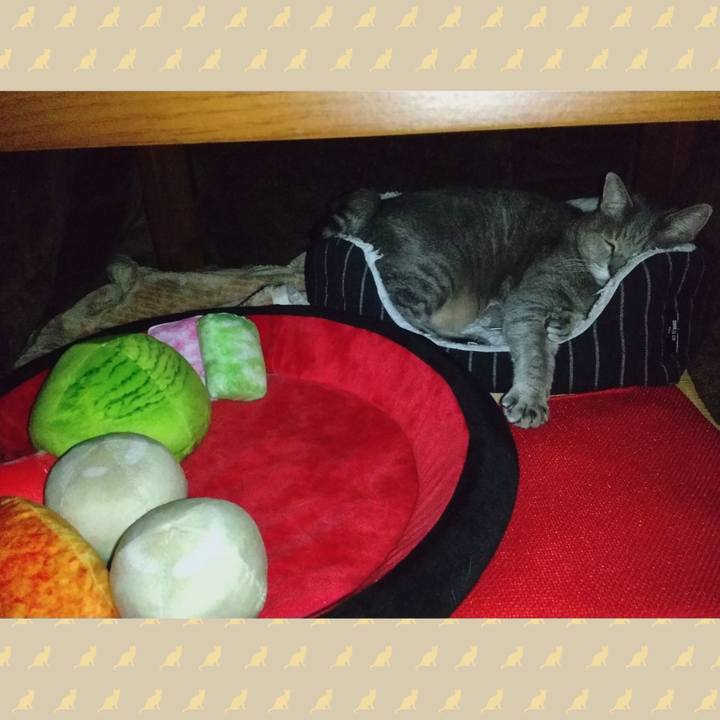 Df61c342 c0f9 4142 be09 0be7275b5c78 1604823401959