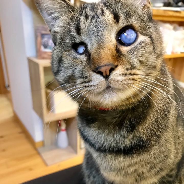 Df61c5f9 2fb9 4c18 adaa 5aa78269caec 1548669210285