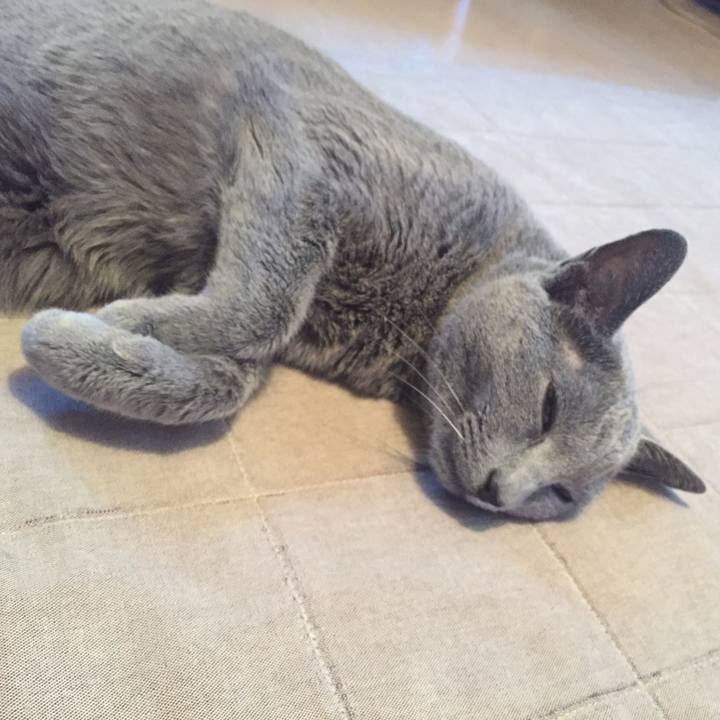 Df61fa74 7cd8 431d 8864 1a6a2b6002e0 1541081696737