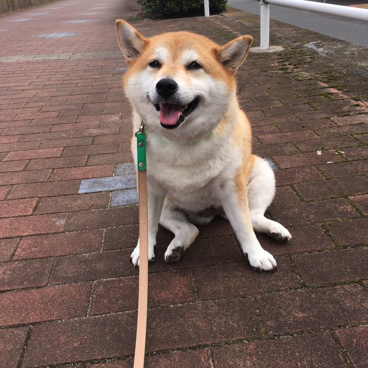 Df623847 2a0e 4754 b264 6bb560fa89bc 1602639722551