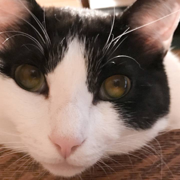 Df624364 dc09 4d01 a9db 187b111d5998 1526737335693