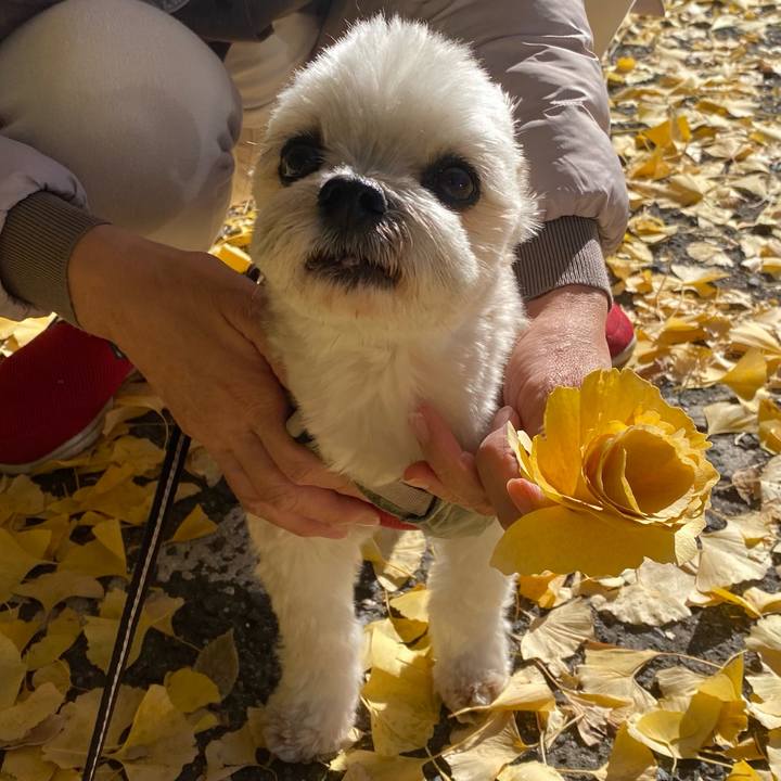 Df629268 b62f 4a96 9395 d19ed49a202d 1765366260229